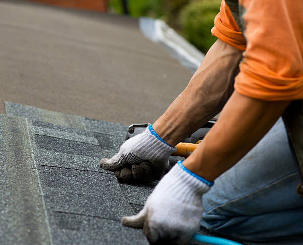 Quick and Trustworthy Emergency Roof Repair Services in Lucasville, OH